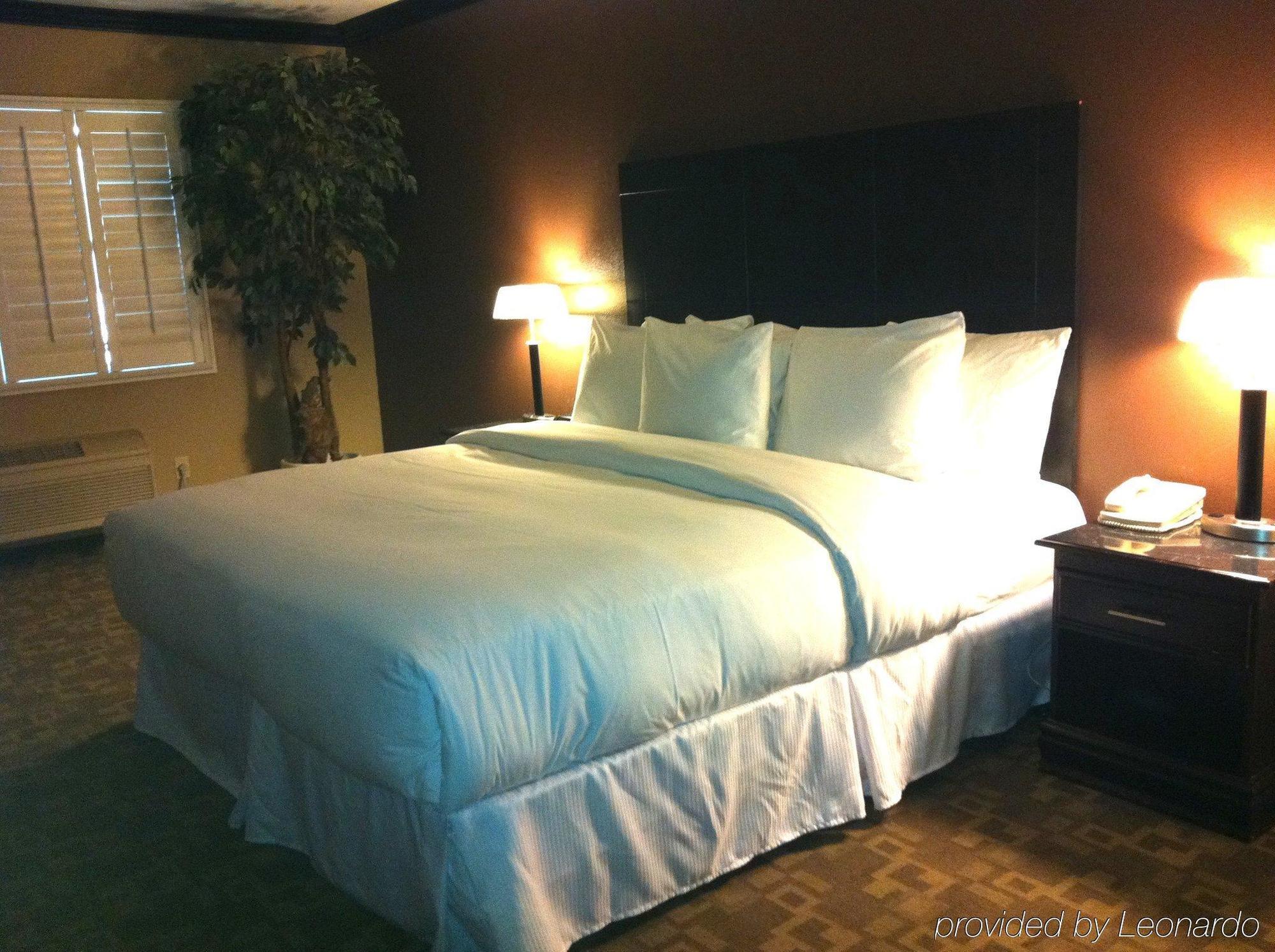 Blvd Hotel & Suites - Walking Distance To Hollywood Walk Of Fame (Adults Only) Los Angeles Room photo